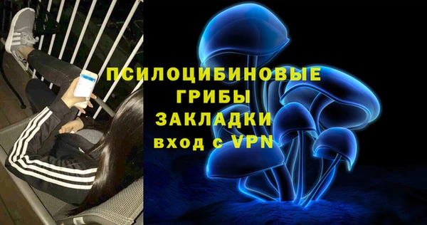 PSILOCYBIN Нефтекумск