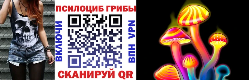 Псилоцибиновые грибы Psilocybe Калязин